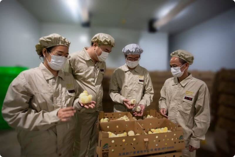 科技驱动育种 · 创新引领未来