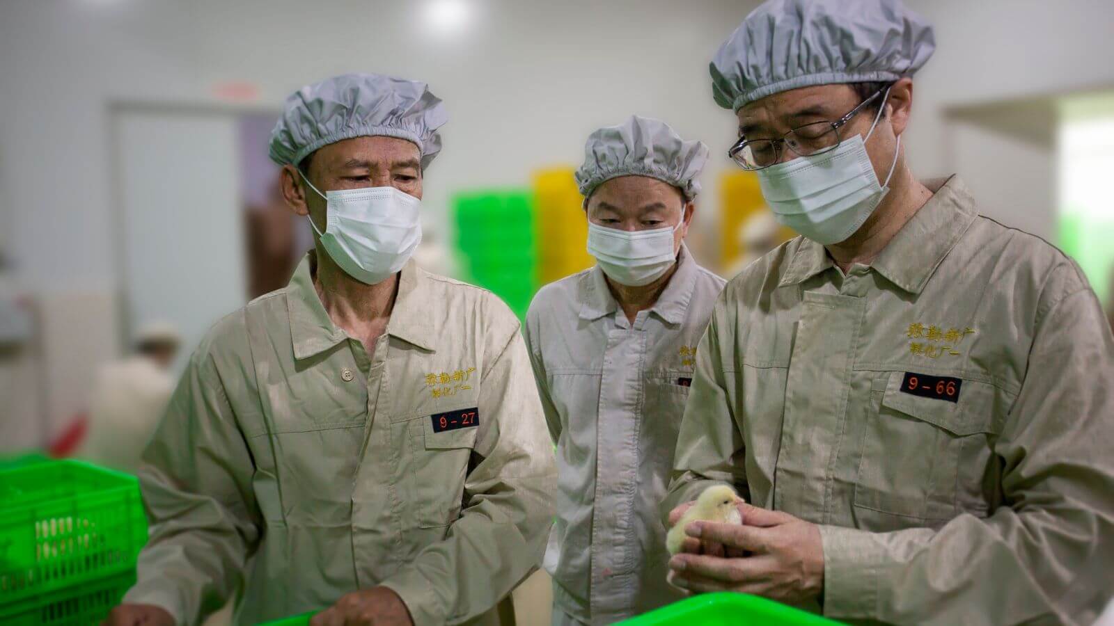 2014 ~ 2017科企融合