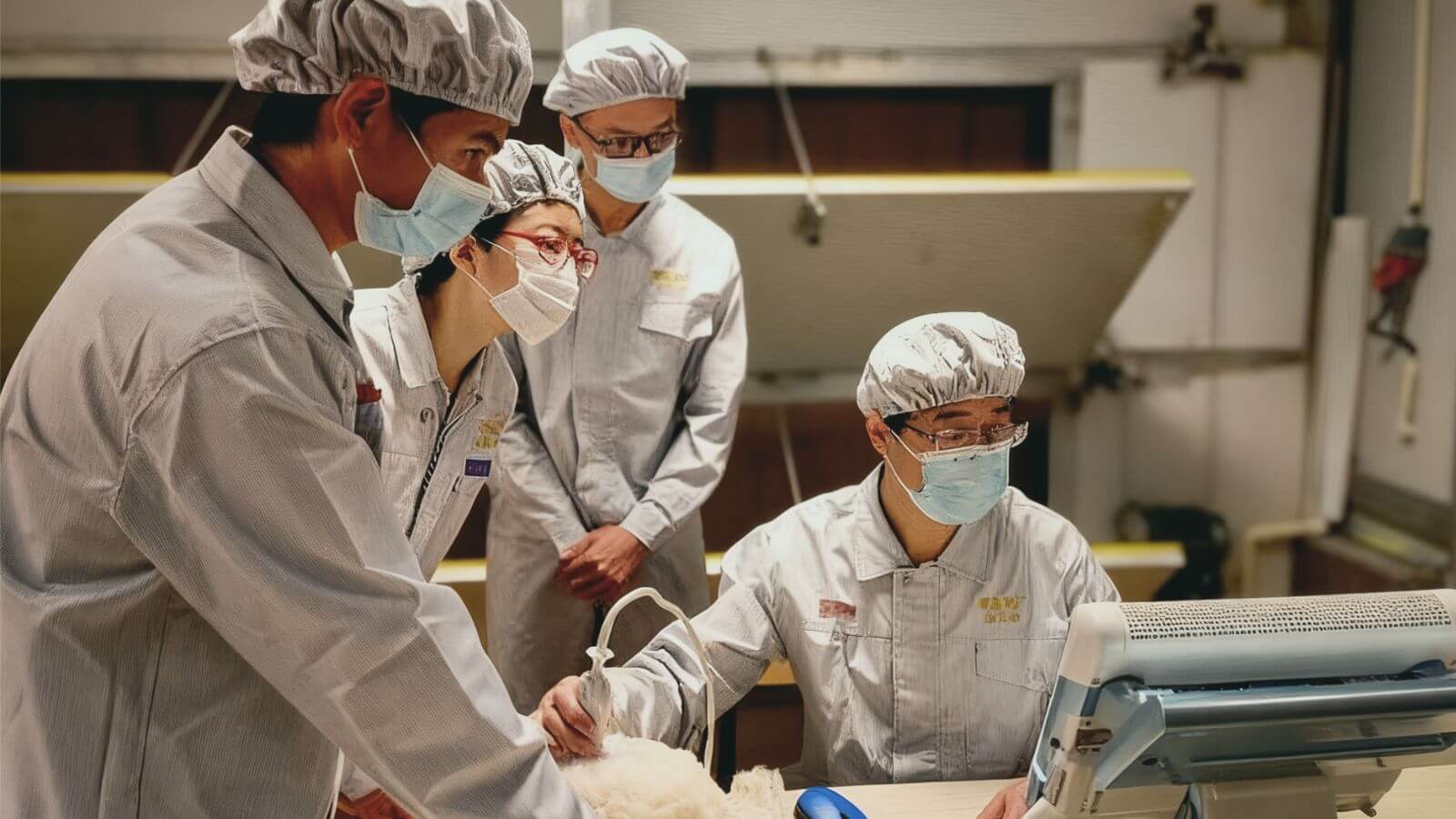 自主育种芯片 · 智能引领未来
   