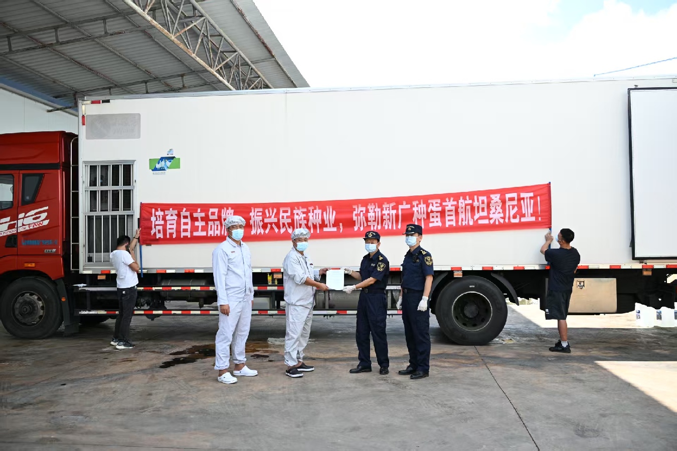 “广明2号”白羽肉鸡父母代种蛋首次成功出口坦桑尼亚